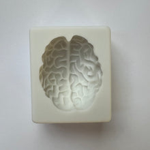 Load image into Gallery viewer, BRAIN SILICONE MOLD