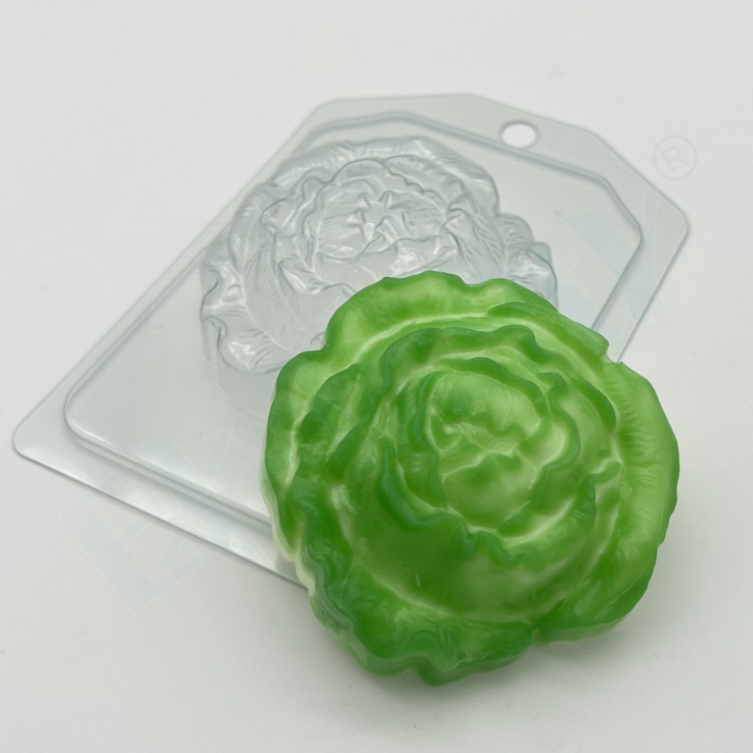 CABBAGE or LETTUCE MOLD