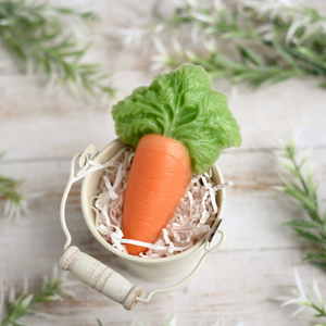 CARROT MOLD