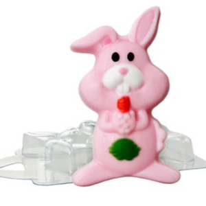 BUNNY MOLD - Shapem