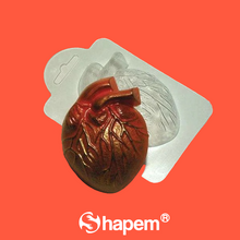 Load image into Gallery viewer, ANATOMICAL HEART PLASTIC MOLD