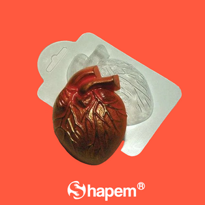 ANATOMICAL HEART PLASTIC MOLD