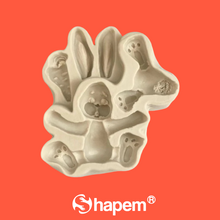 Load image into Gallery viewer, BUNNY &amp; CARROT MOLD