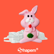 Load image into Gallery viewer, BUNNY MOLD