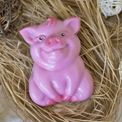 PIGGY MOLD - Shapem