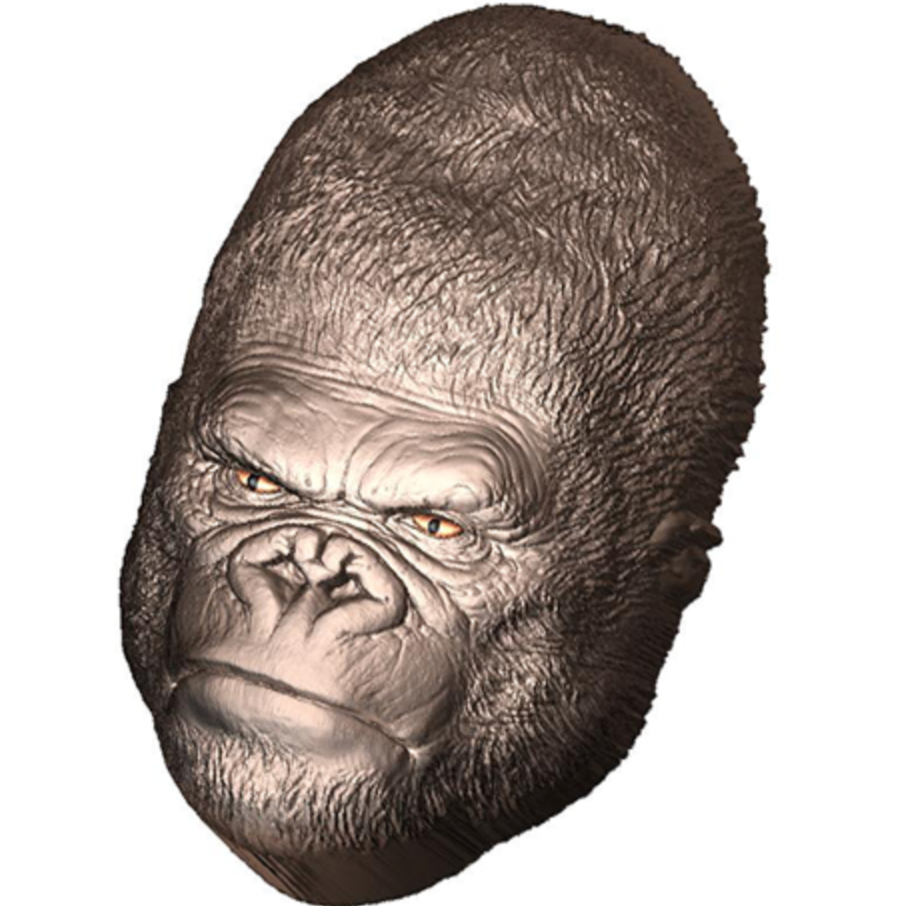 GORILLA MOLD