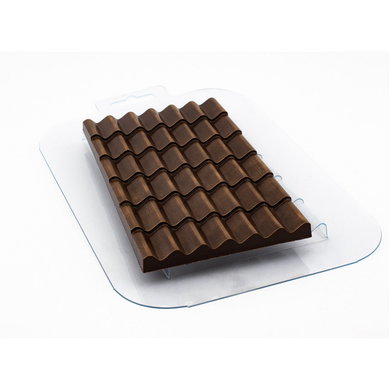 TILE ROOF MOLD