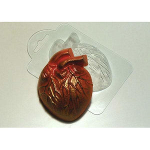 ANATOMICAL HEART PLASTIC MOLD - Shapem