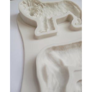 LION FAMILY MOLD